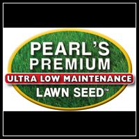 Pearl's Premium discount codes