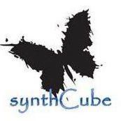 SynthCub