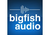 Big Fishdio discount codes