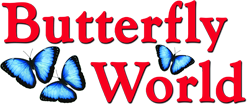 Butterfly World discount codes