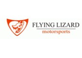 Flying Lizard Motosports discount codes
