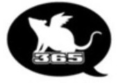 Flying Mouse 365 discount codes