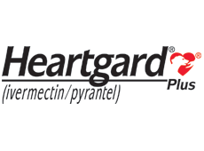 Heartgard discount codes