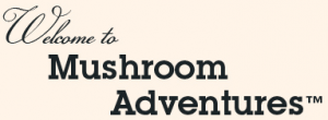 Mushroom Adventures discount codes
