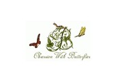 Obsession With Butterflies discount codes
