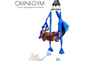 Omni-Gym Yoga Swings