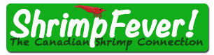 Shrimp Fever discount codes