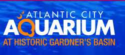 The Atlantic City Aquarium discount codes