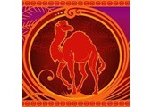 The Red Camel discount codes