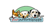 Your Purebred Puppy discount codes